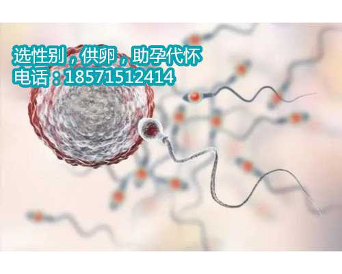 山东可以代孕的吗,上海多学科专家合力助短肠综合征患者成为双胞胎妈妈