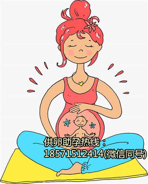 山东借卵供卵试管价格,广州泰国试管婴儿流程