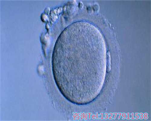 做代怀费用，单角子宫做俄罗斯婴儿试管成功率高吗？