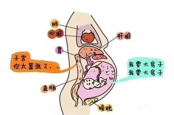 山东怎么买卵子_供卵试管地址,拉萨助孕产子费用价格表,有费用清单