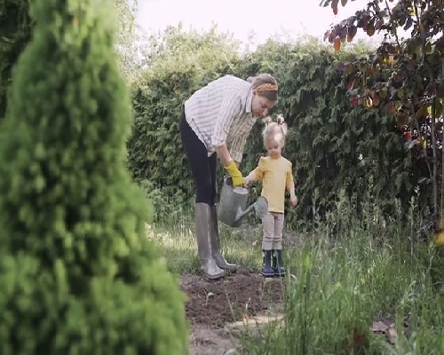 捐卵价格咨询，移植后着床不成功的症状胚胎着床有什么症状