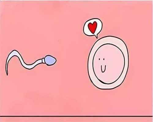 山东借卵生子哪家好,美国试管婴儿科普