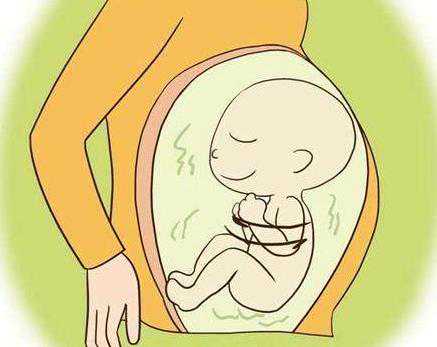 吃什么能提高受孕率？如何提高怀孕几率？