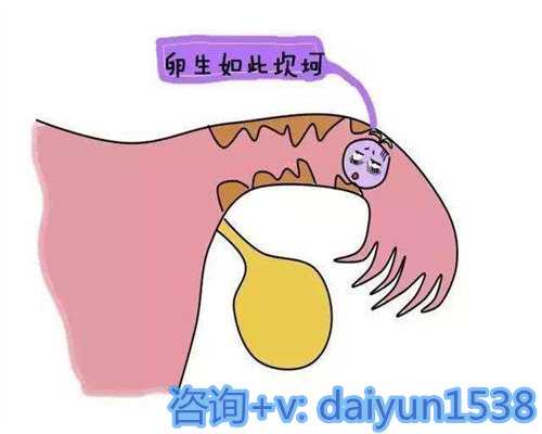 为什么运动能提高泰国试管婴儿成功率