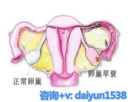 山东医院能供卵吗_代孕代怀机构服务,西安供卵联系电话（烟台正规捐卵机构）